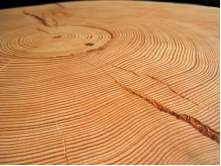 Dendrochronology: History, Developments and Methods.