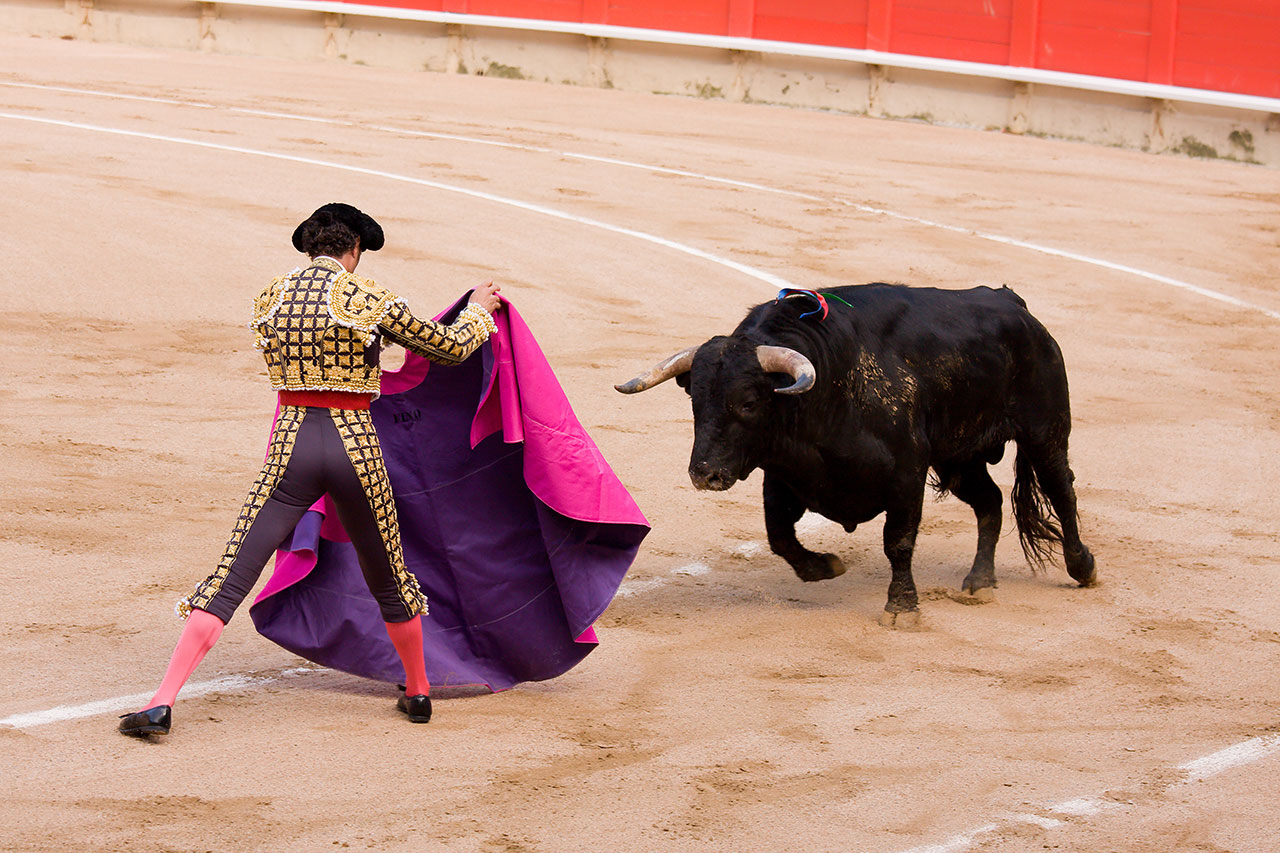 El Debate Sobre la Moralidad de la Tauromaquia en Espa&ntilde;a